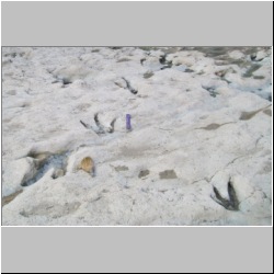 100_0334 (2009-25-07)m.jpg